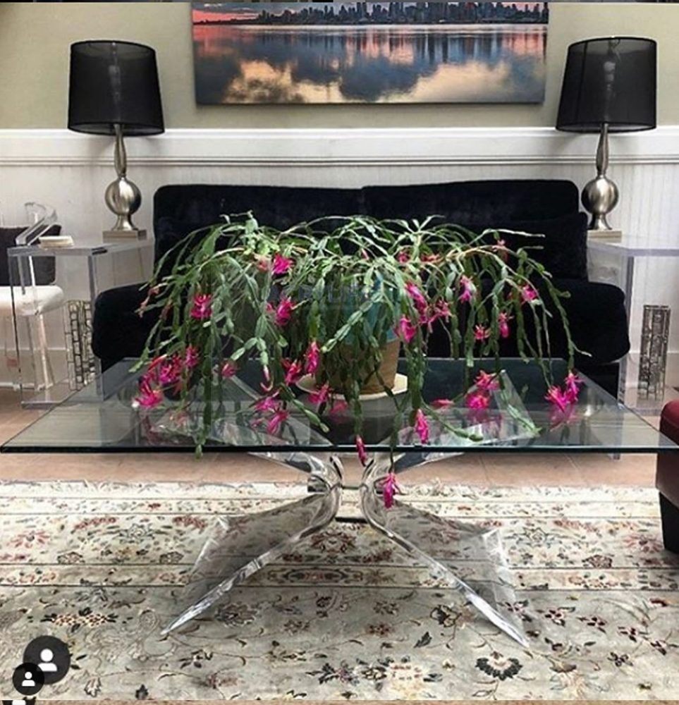 Bàn Mica Acrylife - Butterfly Table ảnh 2