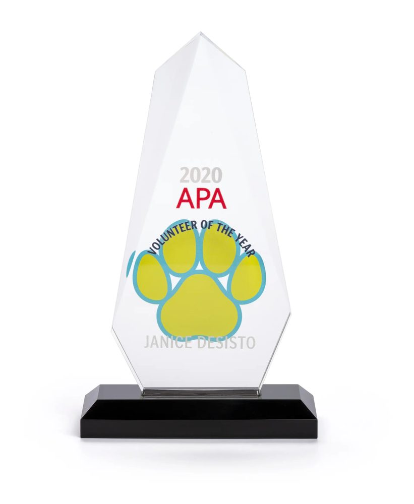 Cúp Mica Acrylife Hình Giọt Nước – 13 × 22 cm – Đế Đen ảnh 2