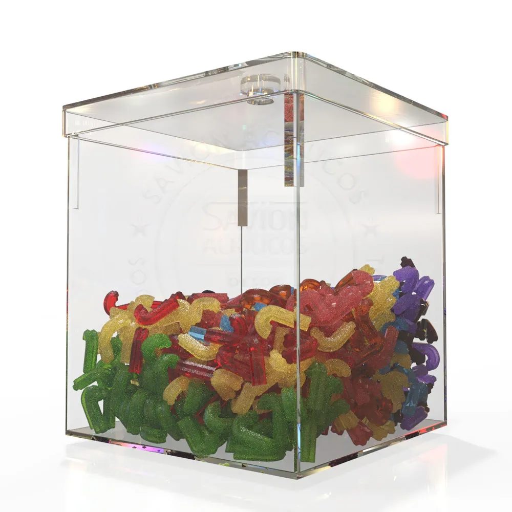 Hộp Mica Acrylife Có Nắp – 20×20×22 cm (7 L) ảnh 2